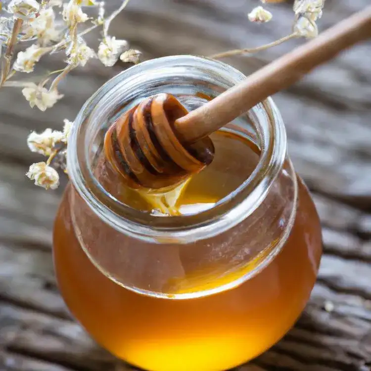 Miód gryczany na co pomaga? Właściwości, korzyści i przeciwwskazania
