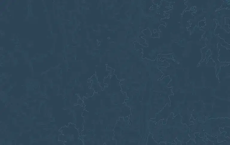 Najlepsze atrakcje w Środzie Wielkopolskiej, które musisz zobaczyć