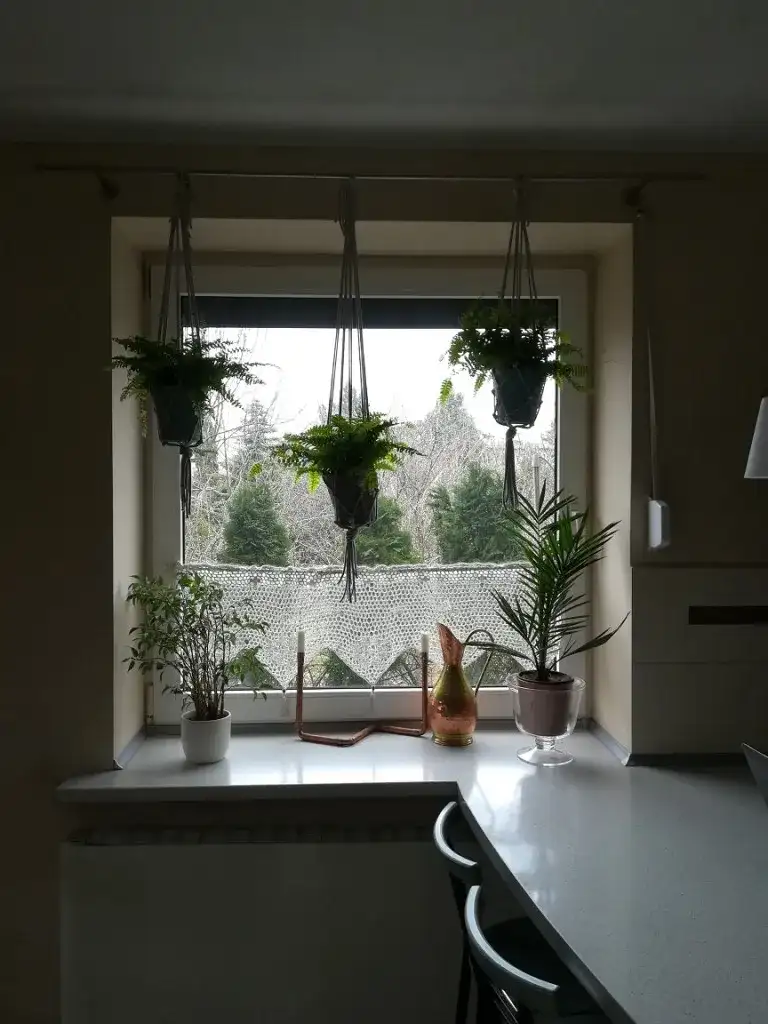 Alternatywy dla firan na okno – nowoczesne rozwiązania do wnętrz