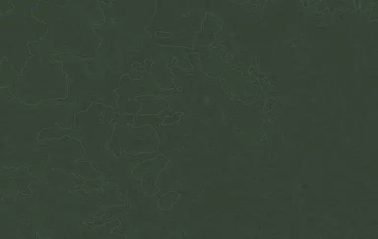 Trasy rowerowe w Biebrzańskim Parku Narodowym - piękne szlaki i atrakcje