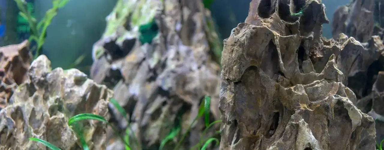 Najlepsze sposoby na klejenie kamieni w akwarium - poradnik akwarysty