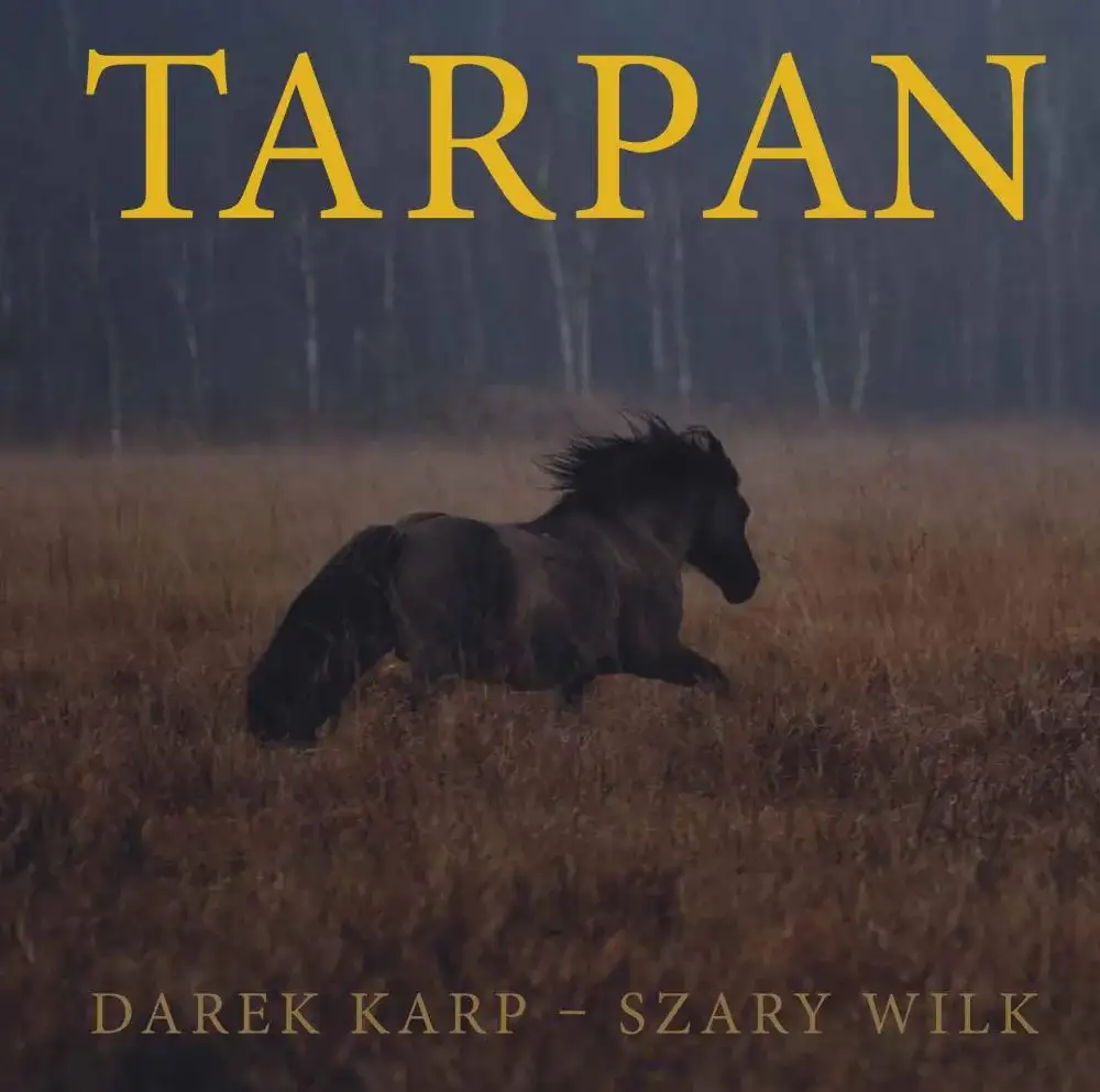 Czy w Polsce są dzikie konie? Odkryj fascynujący świat koników polskich