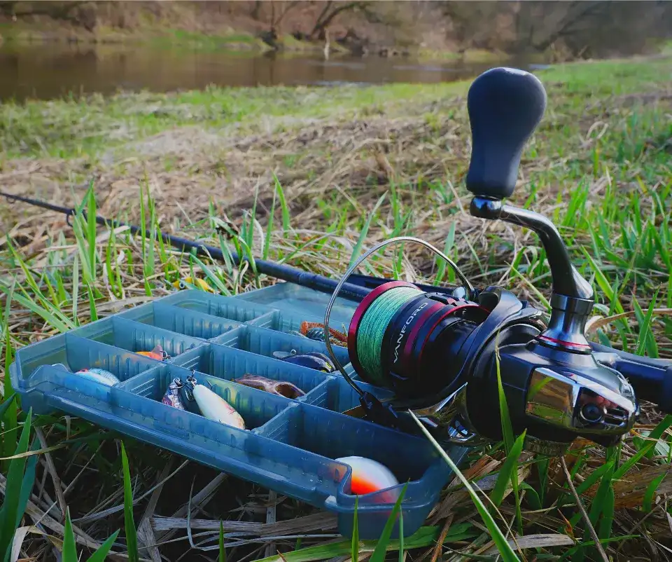 Jaka plecionka na klenia? Poznaj najlepsze opcje wędkarskie