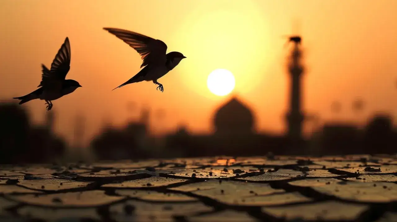 Jaskółki z Kabulu: Animacja, która złamie ci serce. Dlaczego?