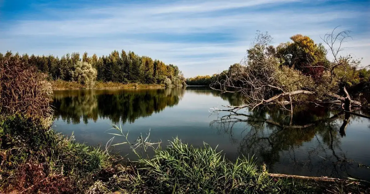 Spływy kajakowe Spała – najlepsze trasy, ceny i porady dla początkujących