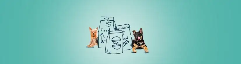 Jaką karmę dla psa wybrać, aby uniknąć problemów zdrowotnych?