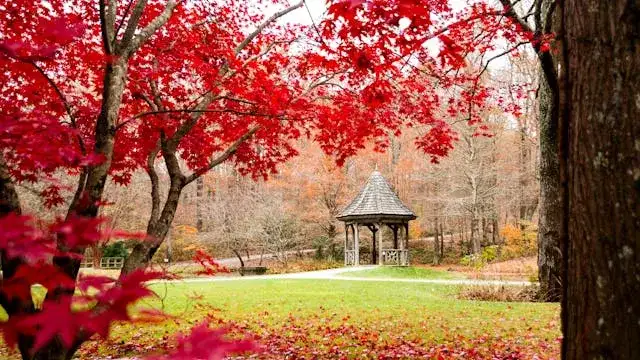 Jak zakotwić altanę, aby przetrwała nawet najsilniejszy wiatr