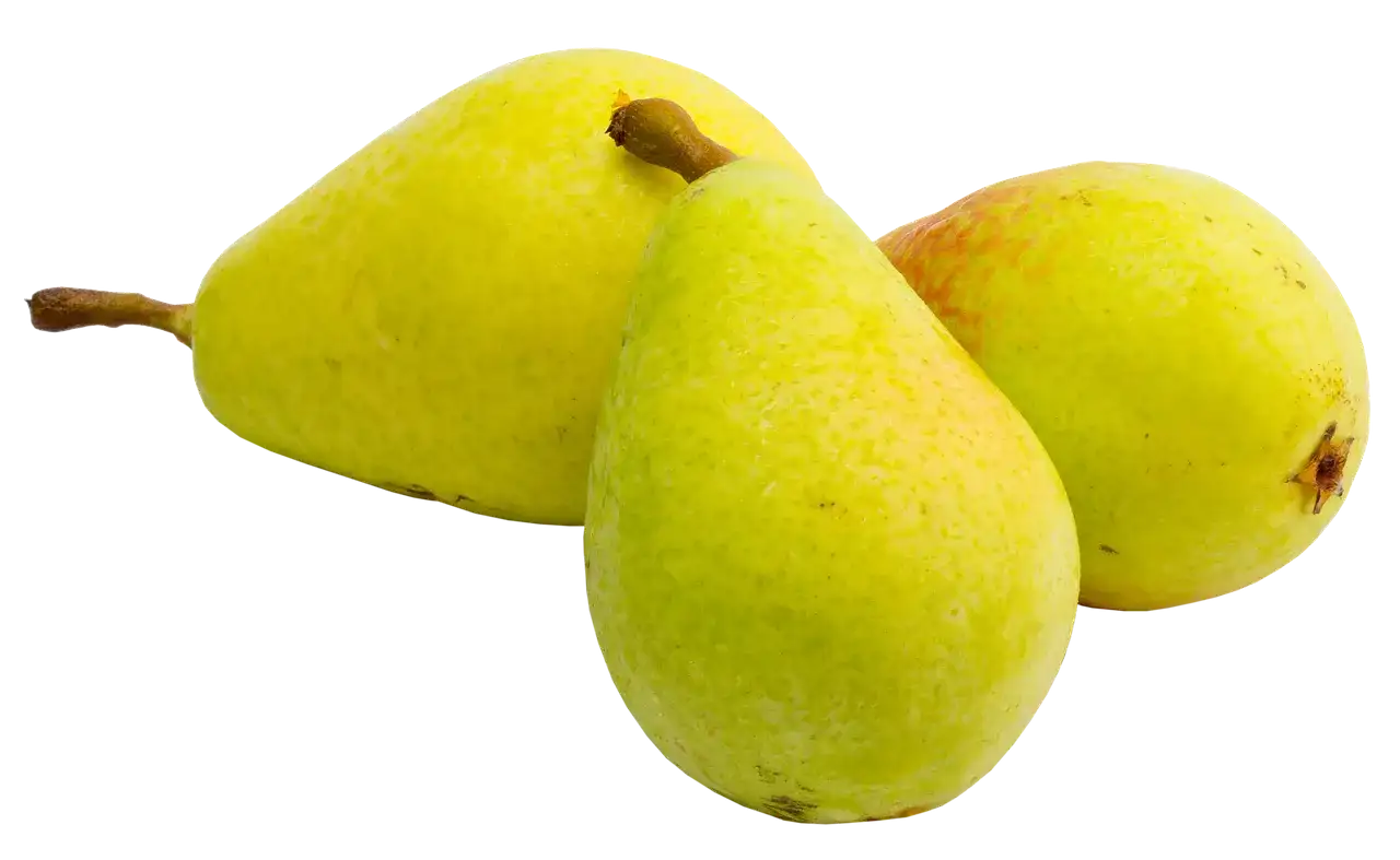 Czy gruszki są zdrowe? Poznaj 7 właściwości leczniczych tego owocu