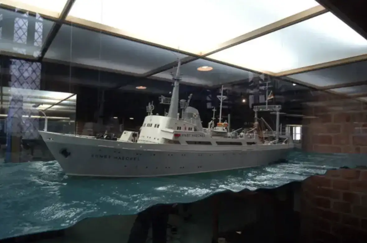 Historia ryzyka od żeglarzy do spekulantów giełdowych