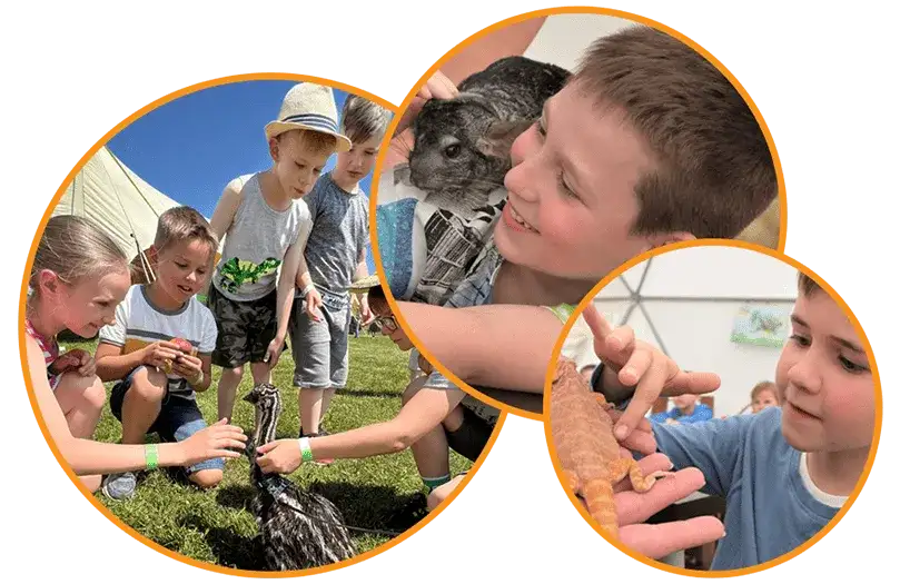 Borysew atrakcje: Odkryj najciekawsze miejsca i unikalne doświadczenia