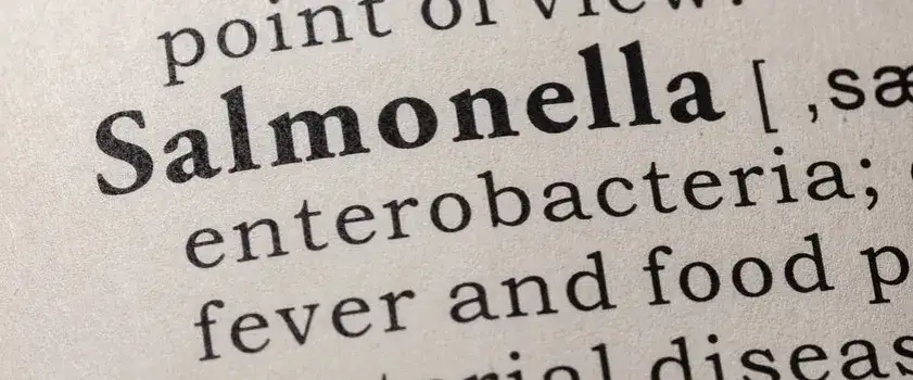 Jak zapobiec salmonellozie: 10 kluczowych zasad, które chronią zdrowie