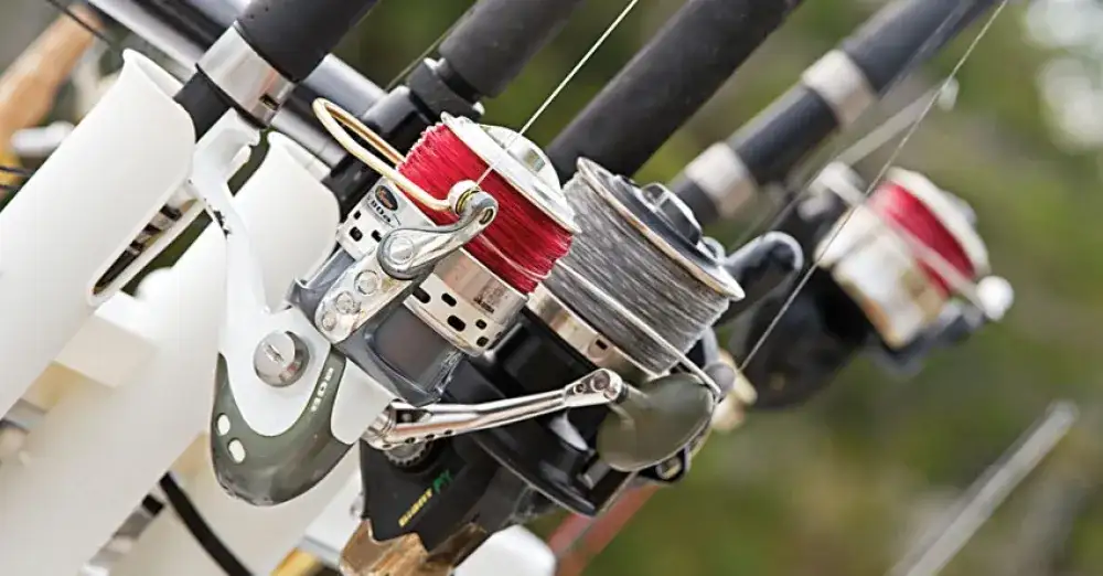 żyłka czy plecionka na karpie - co wybrać, aby nie stracić ryby?