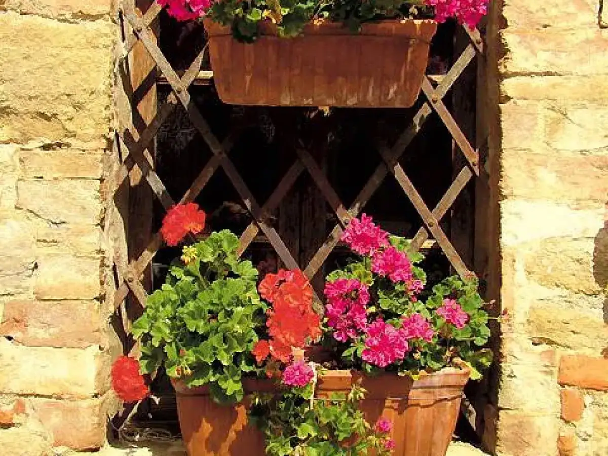 Skuteczne sposoby na przymocowanie skrzynek z kwiatami na okna bez wiercenia