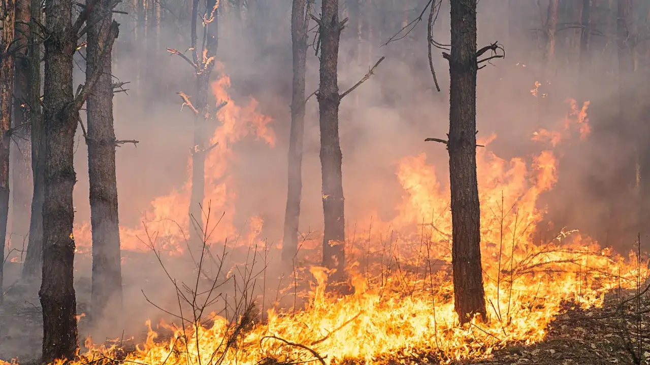 Czy Teneryfa jest bezpieczna? Fakty, zagrożenia i porady dla turystów