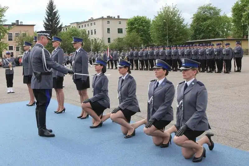 Jakie studia do policji warto wybrać: kompletny przegląd kierunków 2025