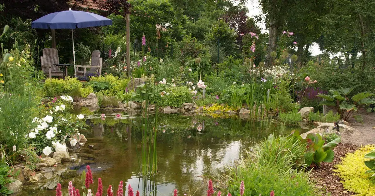 Wie baut man ein Teich: Einfache Schritte für den perfekten Gartenteich