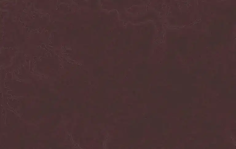 Najciekawsze atrakcje w Chojnie, które musisz zobaczyć