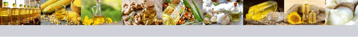 Aceite de maíz para freír: beneficios y secretos que no conocías