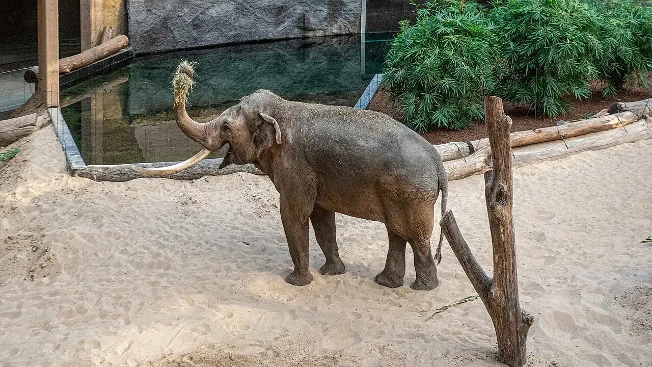 Orientarium w Łodzi - fascynujące zwierzęta i atrakcje, które musisz zobaczyć