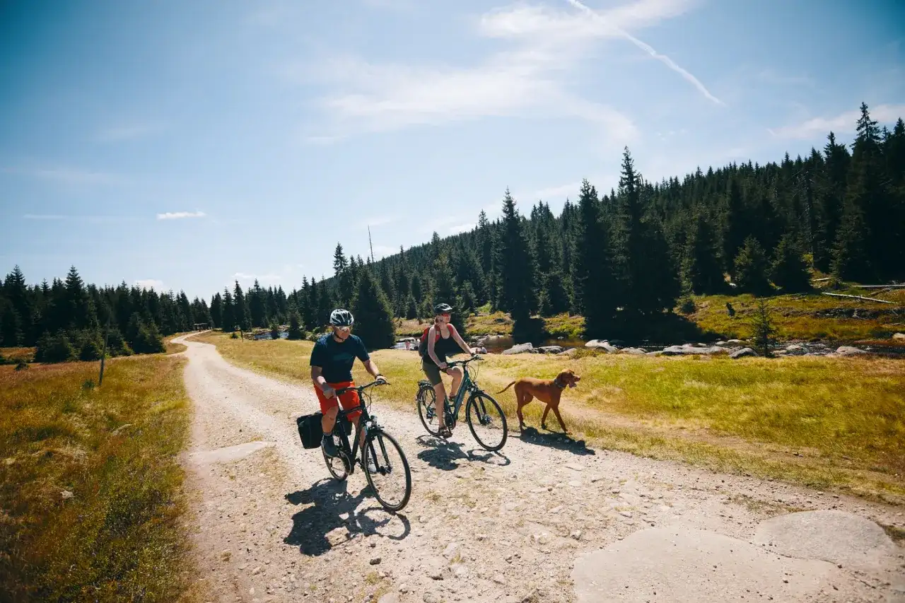 Najlepszy wybór roweru trekkingowego damskiego - uniknij błędów przy zakupie