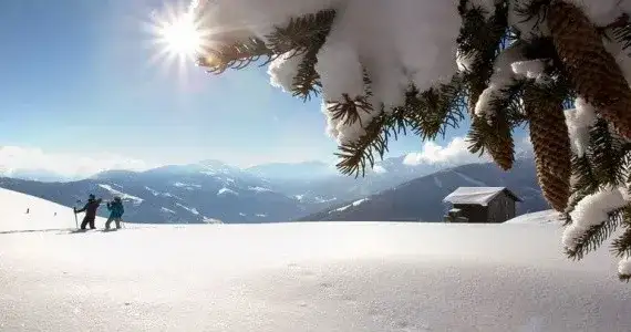 Gdzie na narty w Alpy - najlepsze ośrodki i trasy dla każdego narciarza