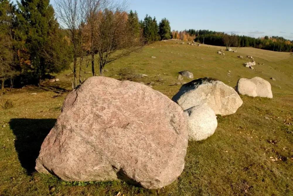 Najbliższy rezerwat przyrody – odkryj piękno natury w pobliżu