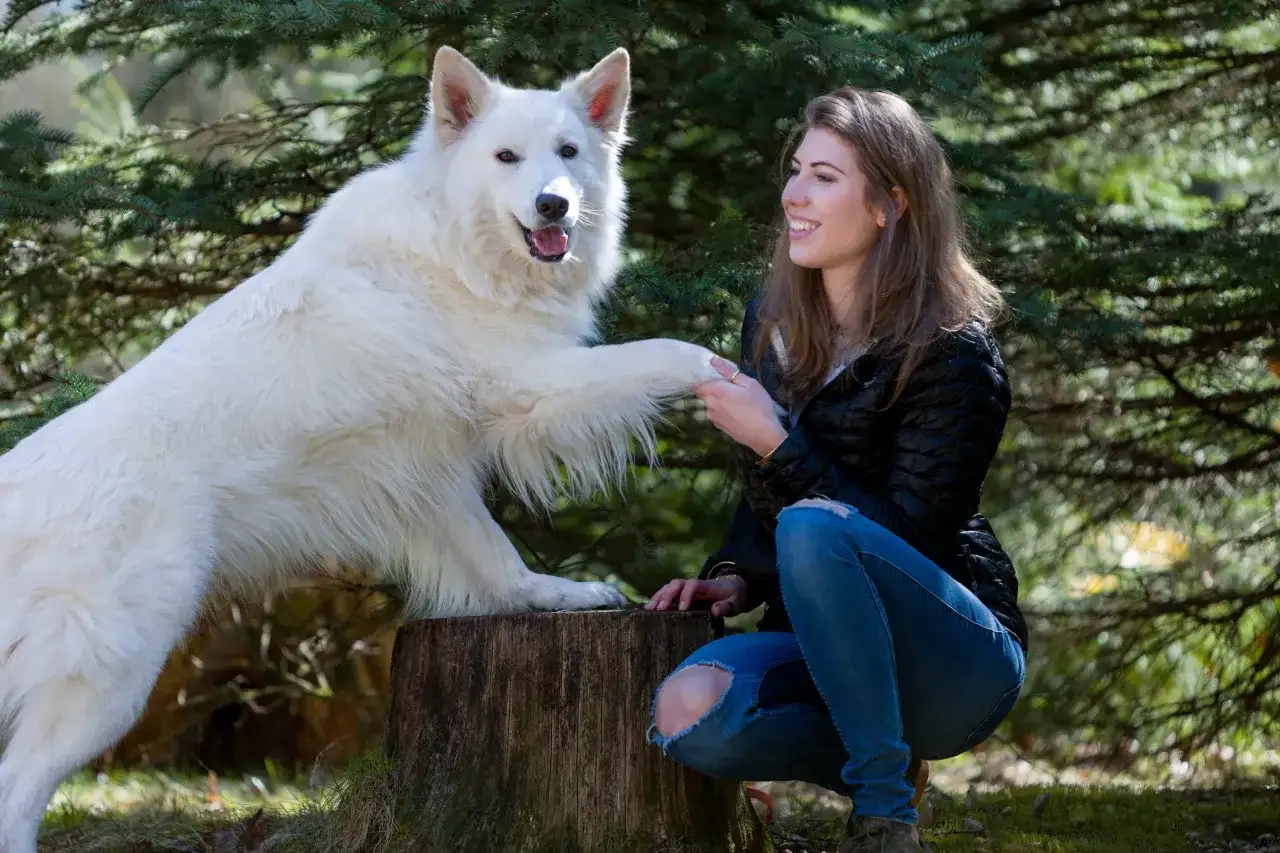 Skuteczne sposoby jak wytresować psa żeby przychodził na zawołanie: 8 kroków