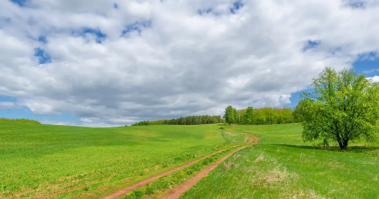 Ile kosztuje ar działki budowlanej na wsi?