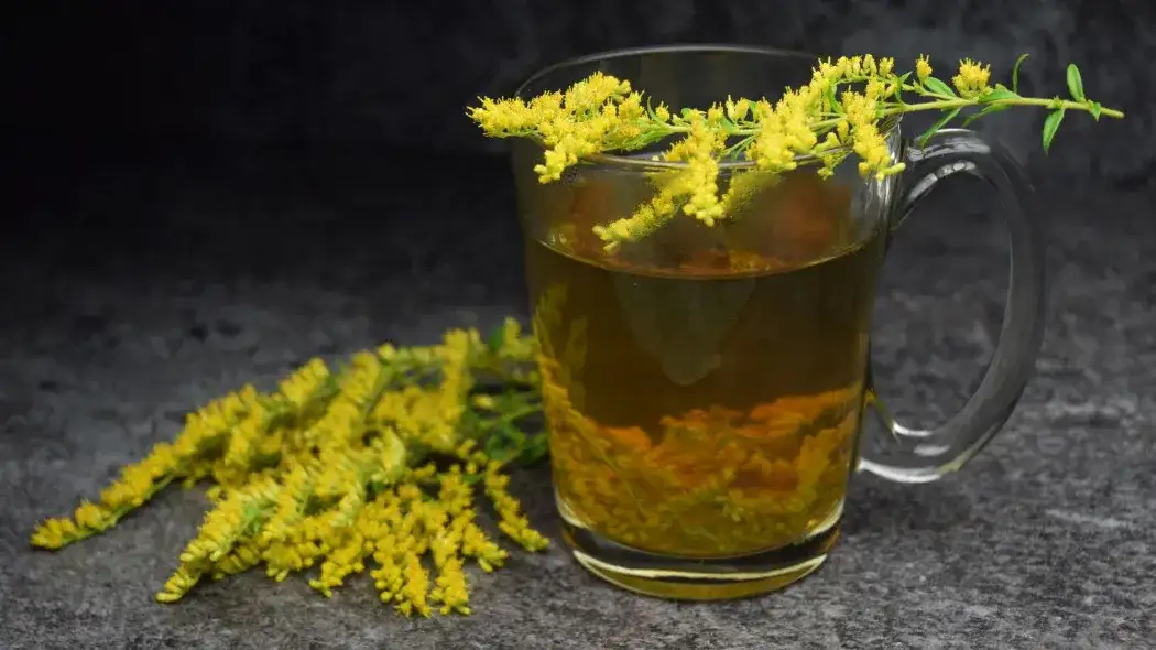 Jak prawidłowo przygotować herbatę z nawłoci - skuteczny przepis domowy