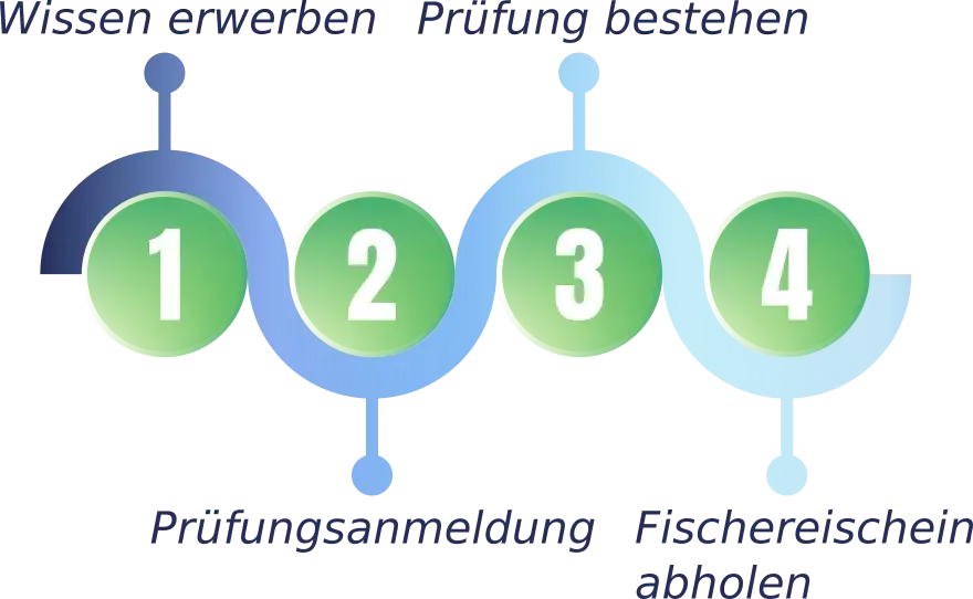 Wie teuer ist ein Angelschein in Niedersachsen? Kosten und Tipps für Angler