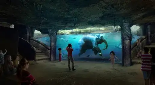 Największe oceanarium w Polsce Łódź – Niezapomniane atrakcje i doświadczenia