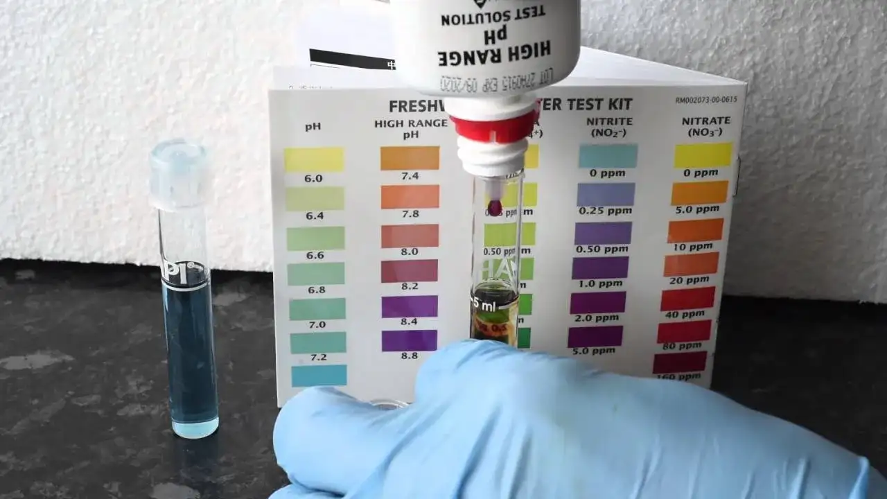 Domowe sposoby na pomiar pH w akwarium - prosty test wody