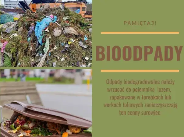 Ekosystem gdzie wyrzucić: Kompleksowy system odpadów Wrocławia