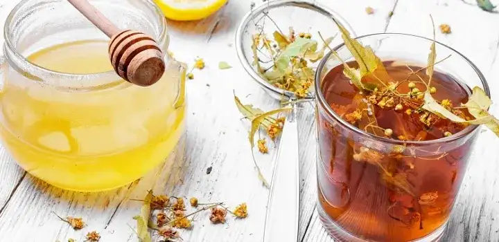 Jak prawidłowo przygotować herbatę z lipy: przepis na domowy napar
