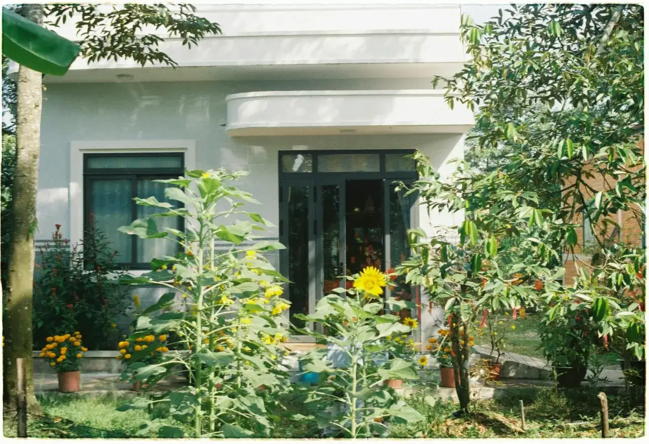 Jak stylowo połączyć wnętrze domu z ogrodem?