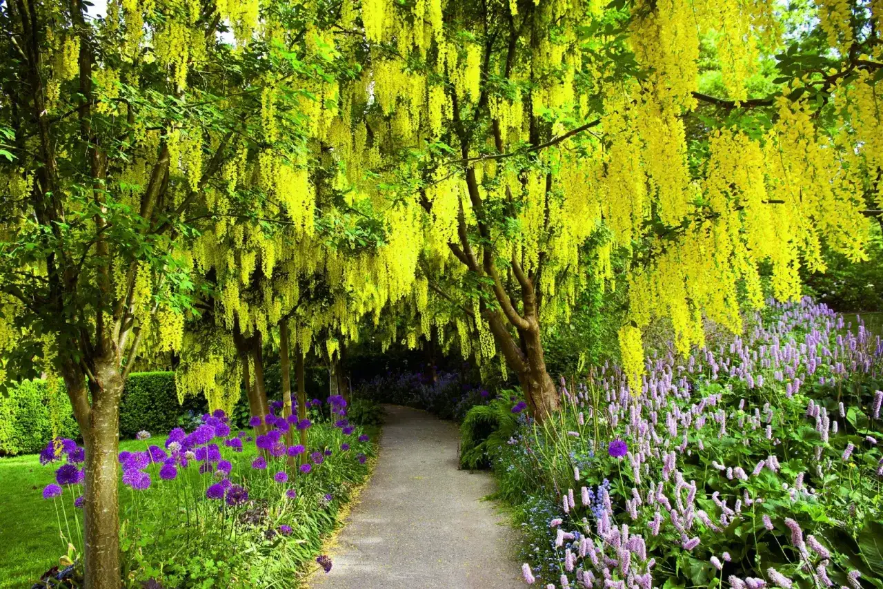 Jakie drzewa kwitną w kwietniu? Odkryj piękno wiosennych kwiatów