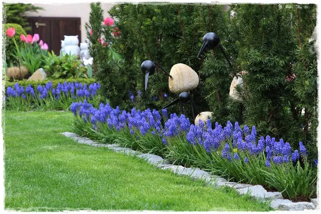 Najlepsze kwiaty do ogrodu: piękna ozdoba przez cały sezon