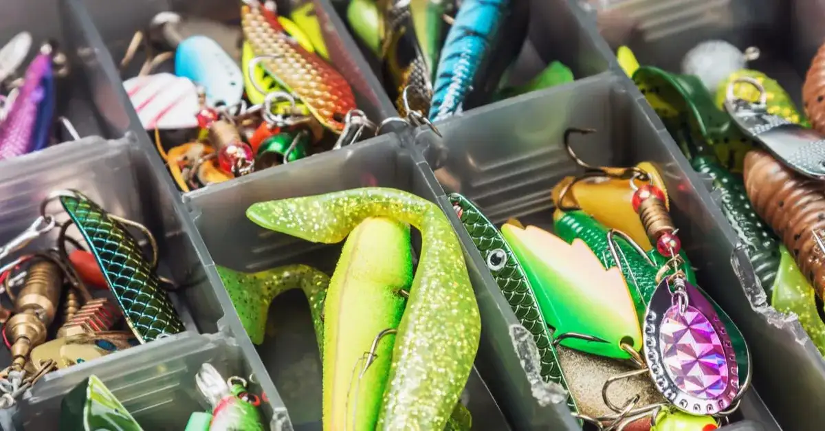 Welcher Köder für welchen Fisch: Die besten Tipps für deinen Fang