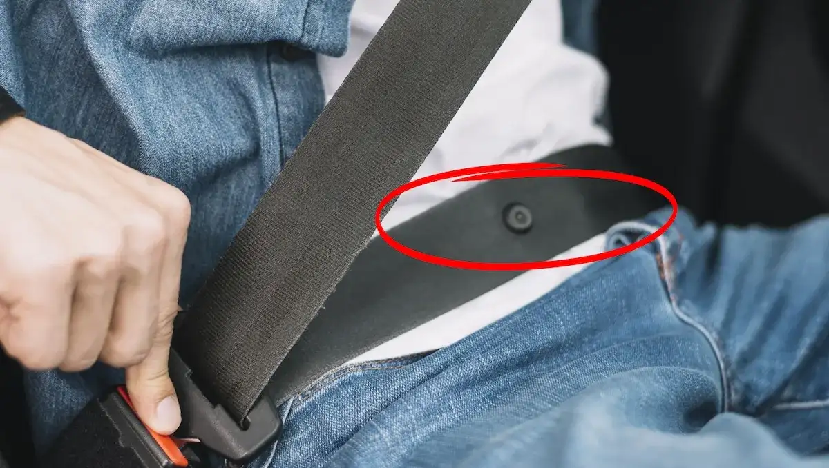 Der Knopf am Sicherheitsgurt: Wichtige Funktion für Ihre Sicherheit