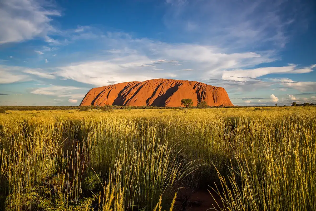 Najlepsze atrakcje w Australii, które musisz zobaczyć podczas podróży