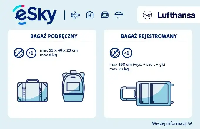 Co można zabrać w bagażu rejestrowanym Lufthansa? Zasady i ograniczenia
