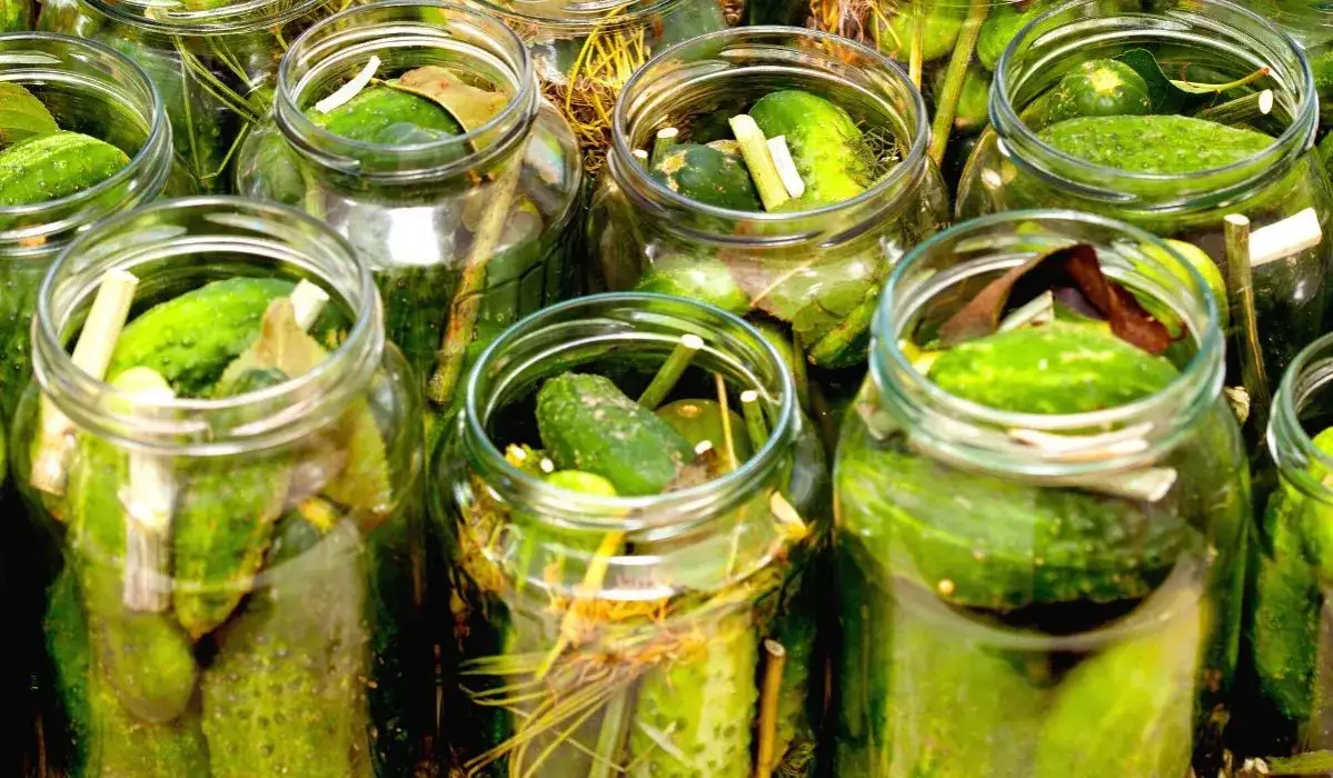 Czy gotować wodę do kiszenia ogórków? Oto, co musisz wiedzieć