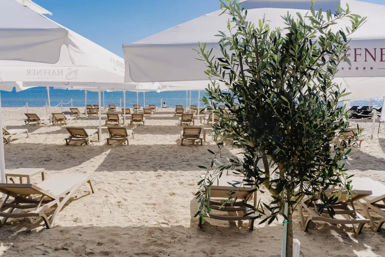 Piękna plaża w Sopocie z leżakami i parasolami, idealne miejsce na relaks i atrakcje dla dzieci.