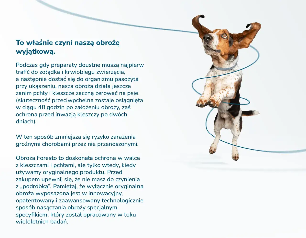 Od kiedy można założyć psu obrożę przeciwpchelną, aby uniknąć problemów zdrowotnych?