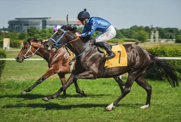 Zakłady na wyścigi konne vs kasyno online, gdzie bardziej opłaca się grać?
