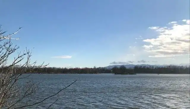 łowisko karpiowe na Gołyszu: idealne miejsce na wędkarskie przygody