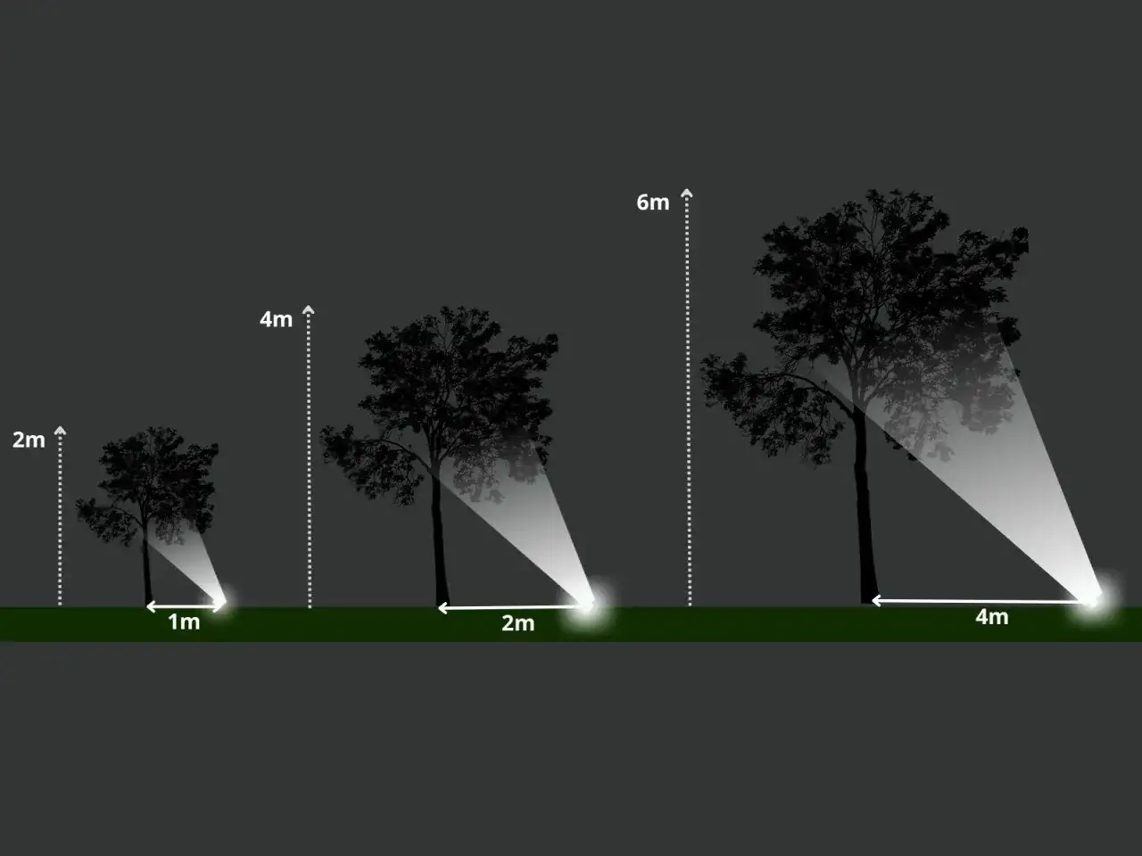 Ilustracja pokazuje, co ile metrów lampy ogrodowe oświetlają drzewa o różnej wysokości: 1m, 2m i 4m.
