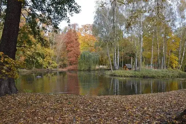 Gdzie dokładnie leży Kaliniec z Nocy i dni? Tajemnica miejsca z powieści Dąbrowskiej