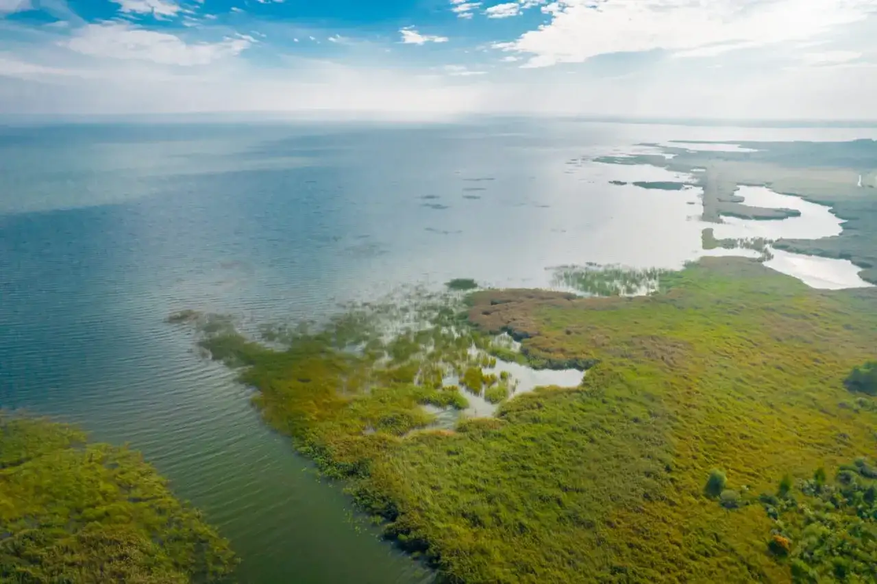 Malowniczy widok na mierzeję wiślaną, gdzie woda łączy się z bujną roślinnością. W oddali widać zarys miejscowości.