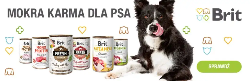 Czy karma Brit jest dobra dla psa? Sprawdź opinie i zalety.